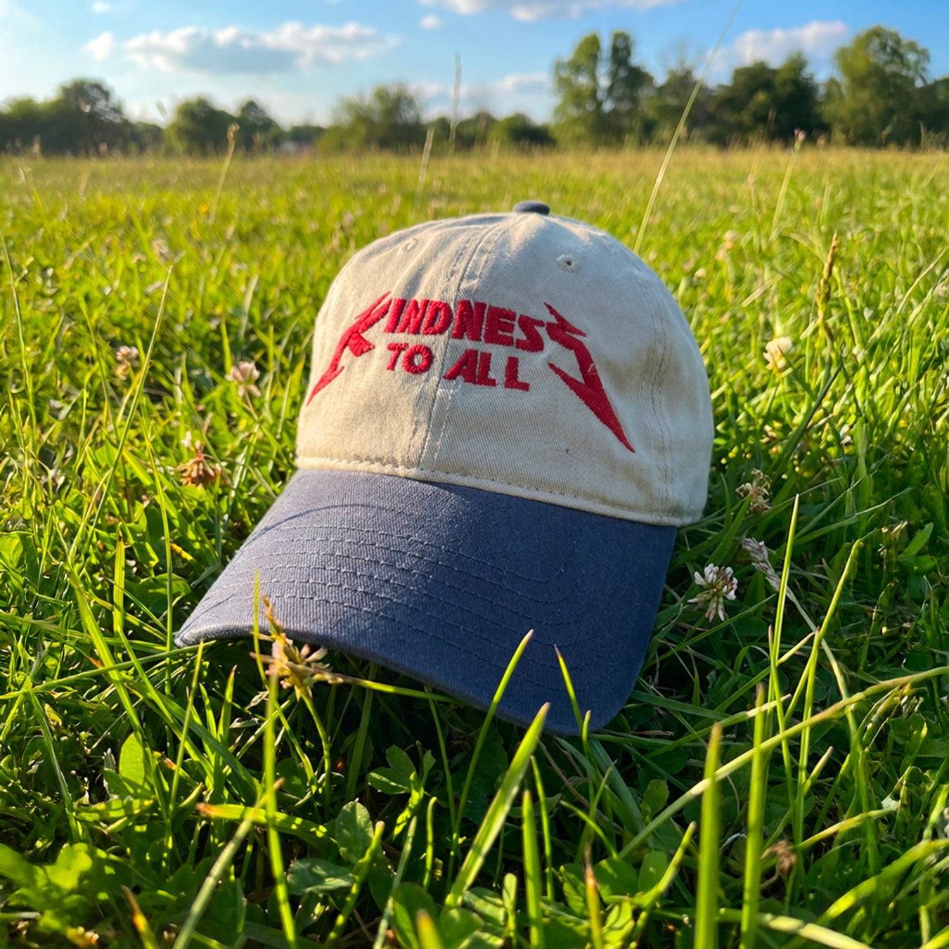 Kindness to All Strapback