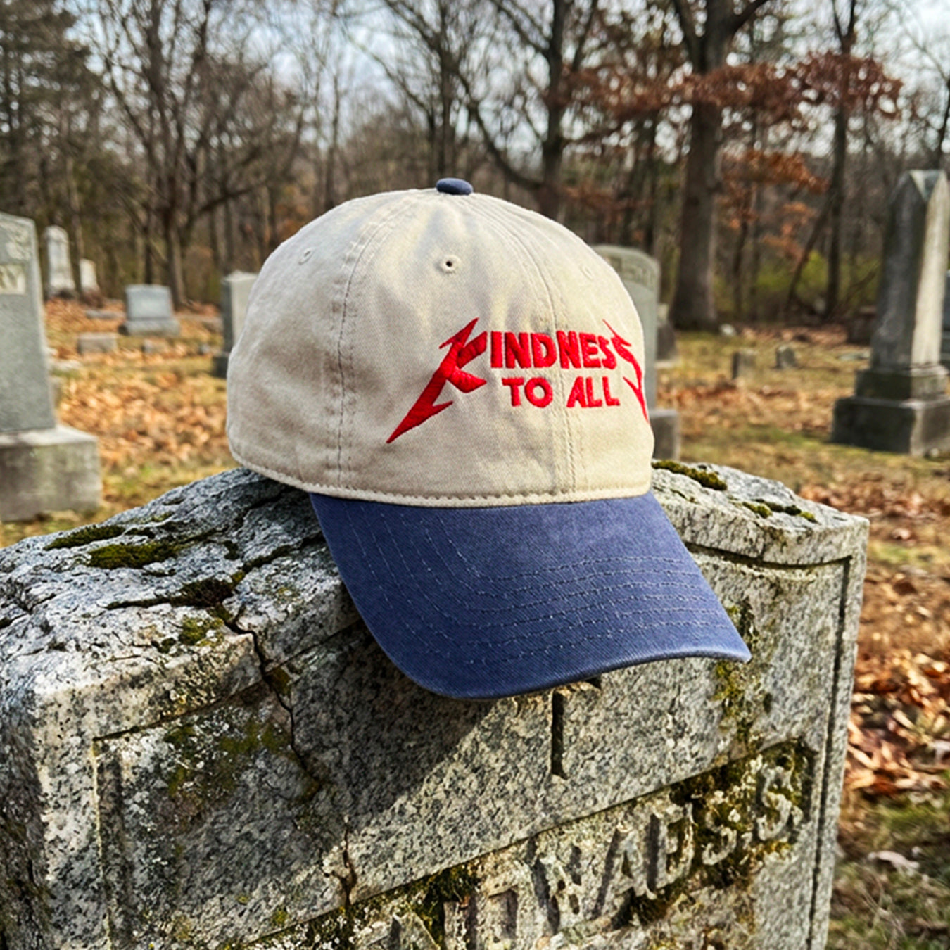 Kindness to All Strapback