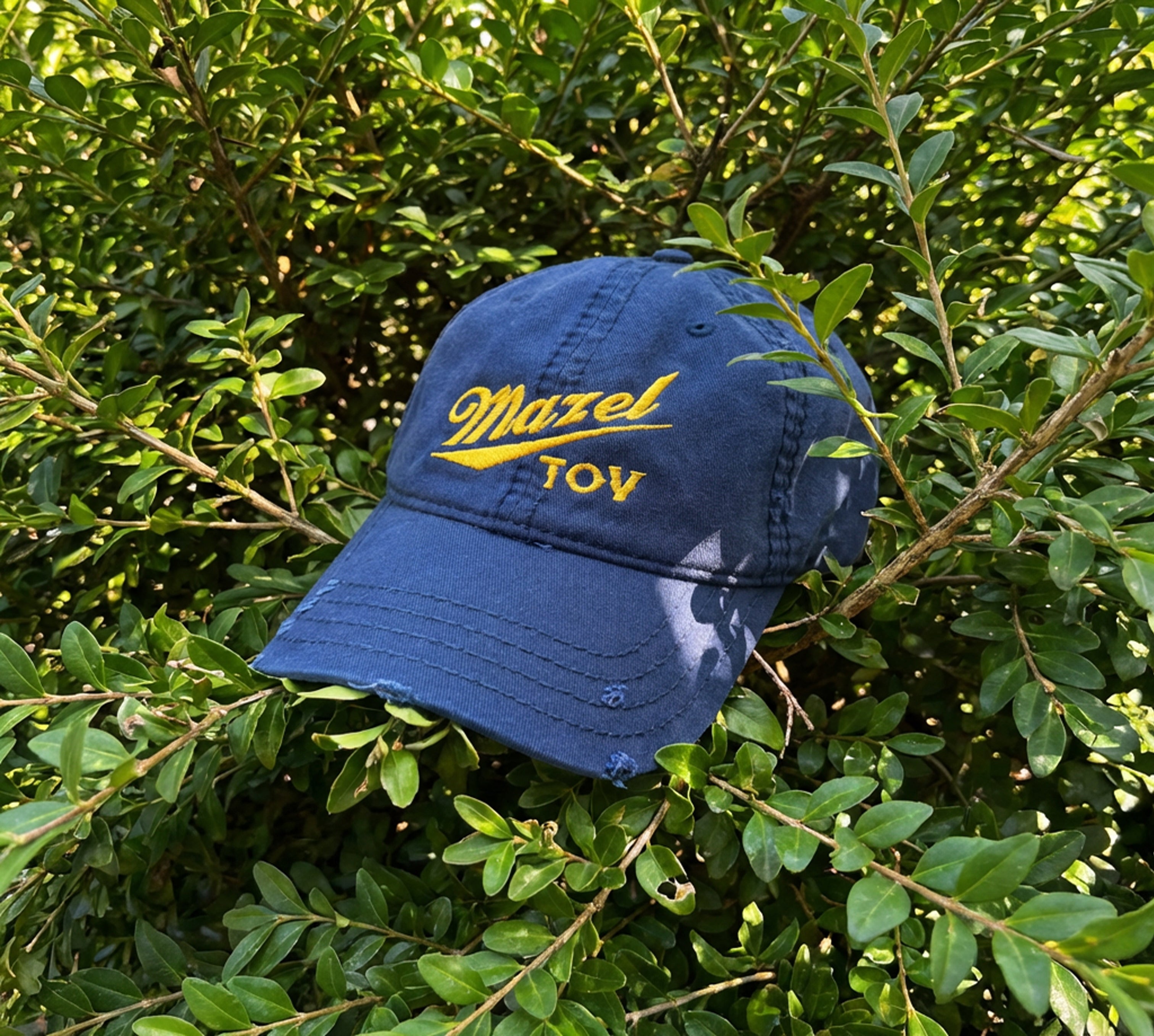 Mazel Tov Distressed hat